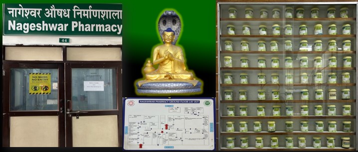 Nageshwar Pharmacy